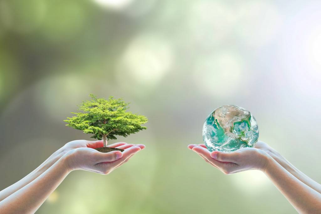 The Rising Trend Of Eco-friendly And Sustainable Living