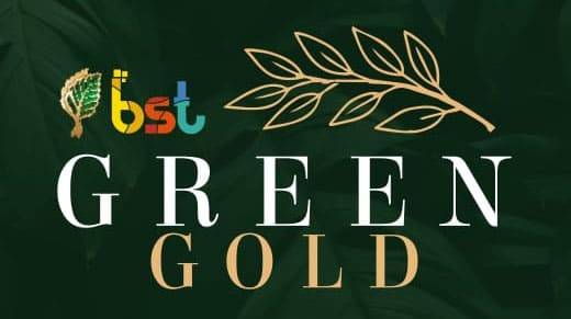 BST Green Gold Logo