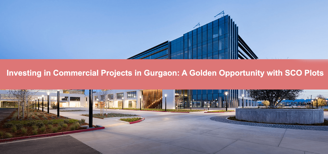 Investing in Commercial Projects in Gurgaon A Golden Opportunity with SCO Plots