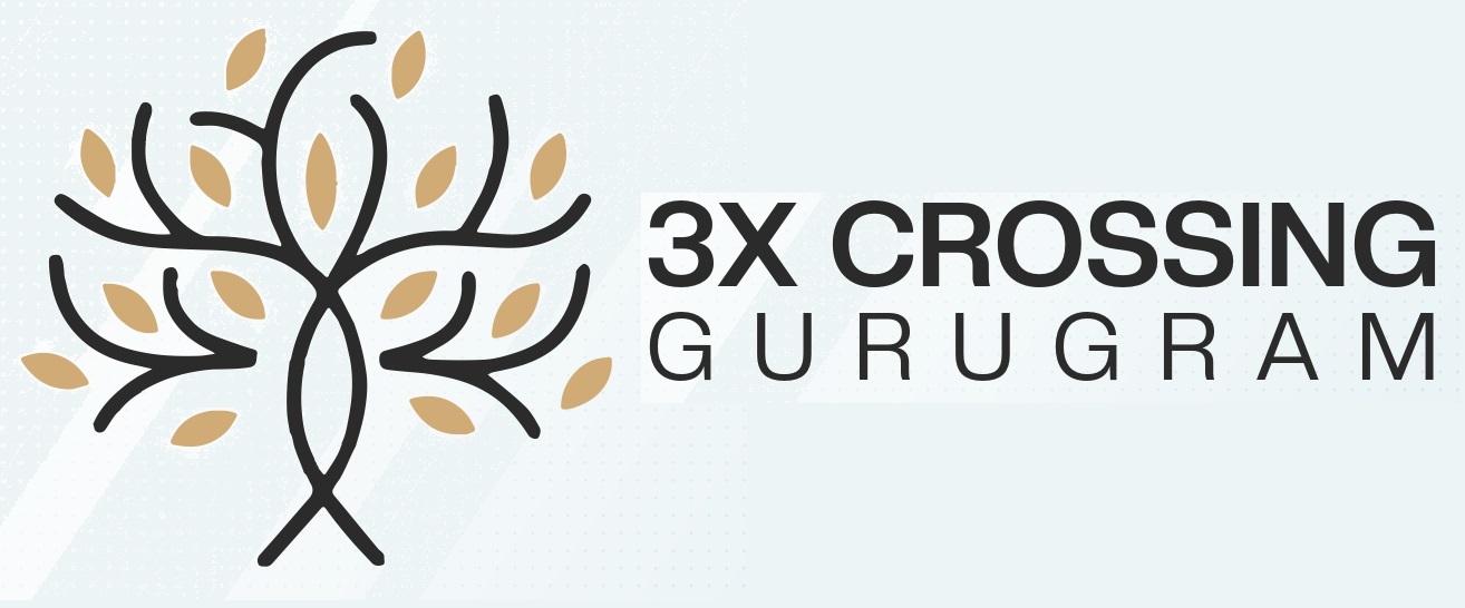 Address 3X Crossing Logo