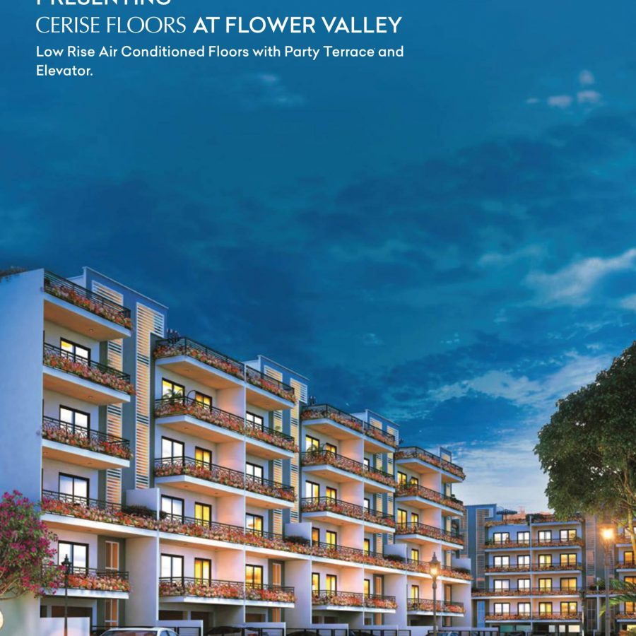 Central-Park-Flower-Valley-Cerise-Floors-image-5