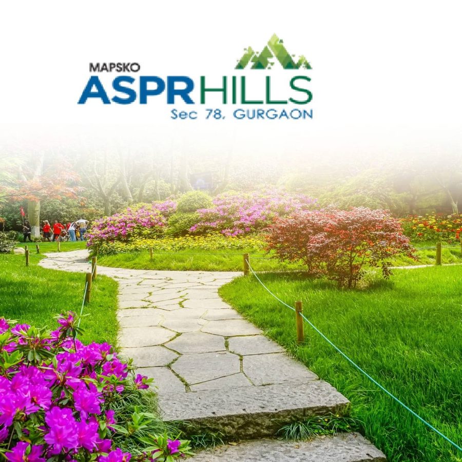 Mapsko ASPR Hills image 5