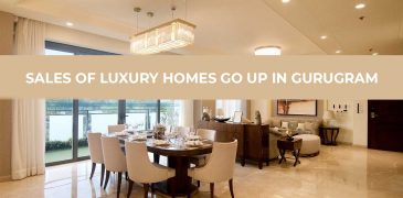 Sales of Luxury Homes go up in Gurugram