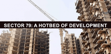 Sector 79 A Hotbed Of Development