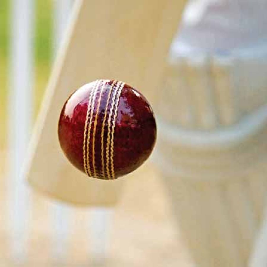 Shapoorji Pallonji Joyville Gurgaon Cricket Pitch