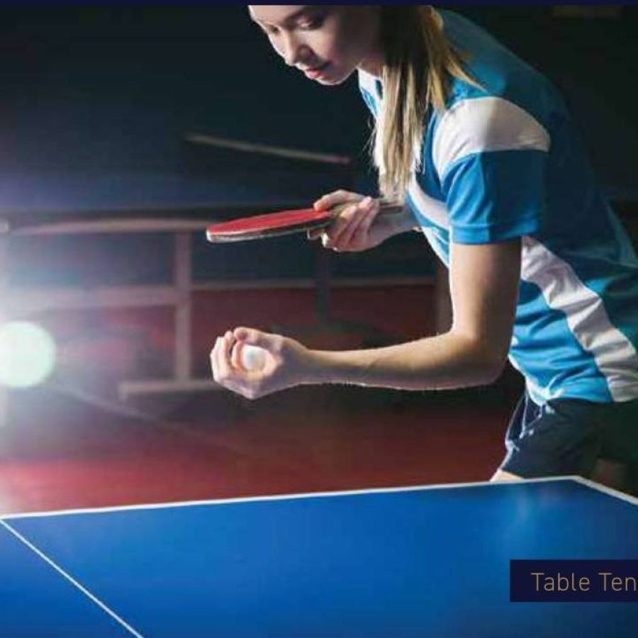 Signature Global De-Luxe DXP Table Tennis
